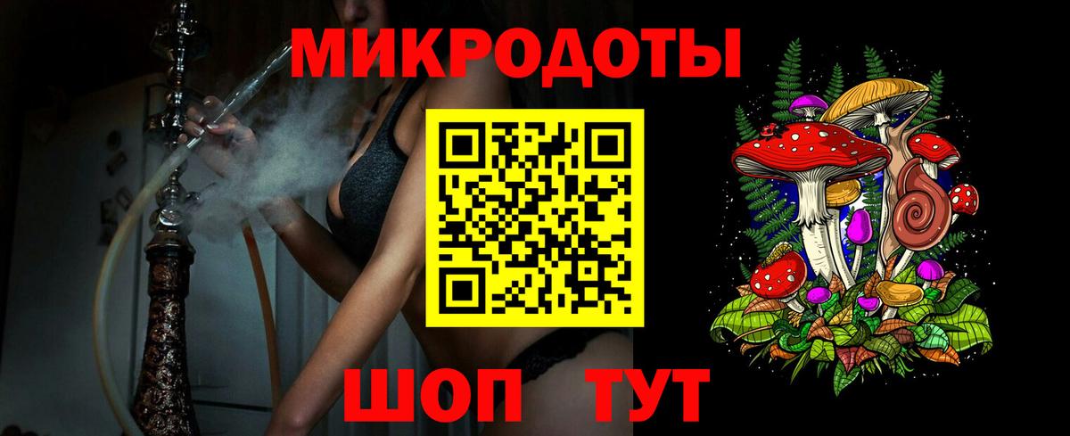 Псилоцибиновые грибы мицелий  купить   Псилоцибиновые грибы Psilocybine cubensis  Новокубанск  Вход с VPN 