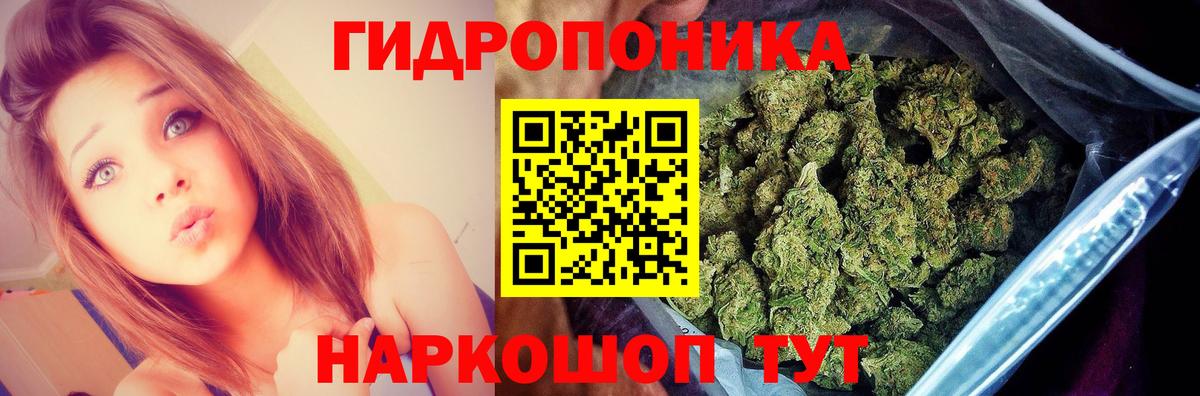 Шишки марихуана Bruce Banner  Вход с VPN  МАРИХУАНА ГИДРОПОН  МАРИХУАНА гибрид  Новокубанск 